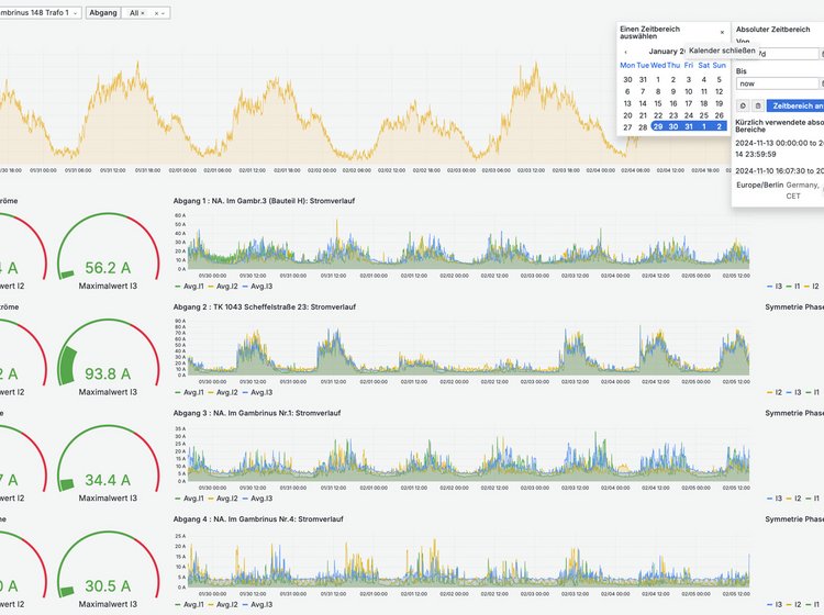 Software-Dashboard mit Netzanalysen und Spannungsmessungen