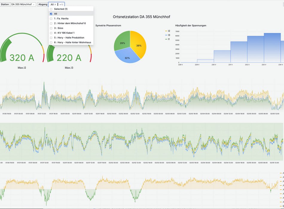  Screenshot eines Netzmanagement-Tools mit Diagrammen und Verbrauchsdaten
