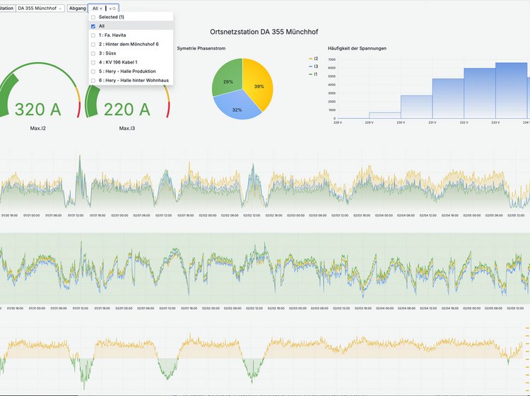  Screenshot eines Netzmanagement-Tools mit Diagrammen und Verbrauchsdaten